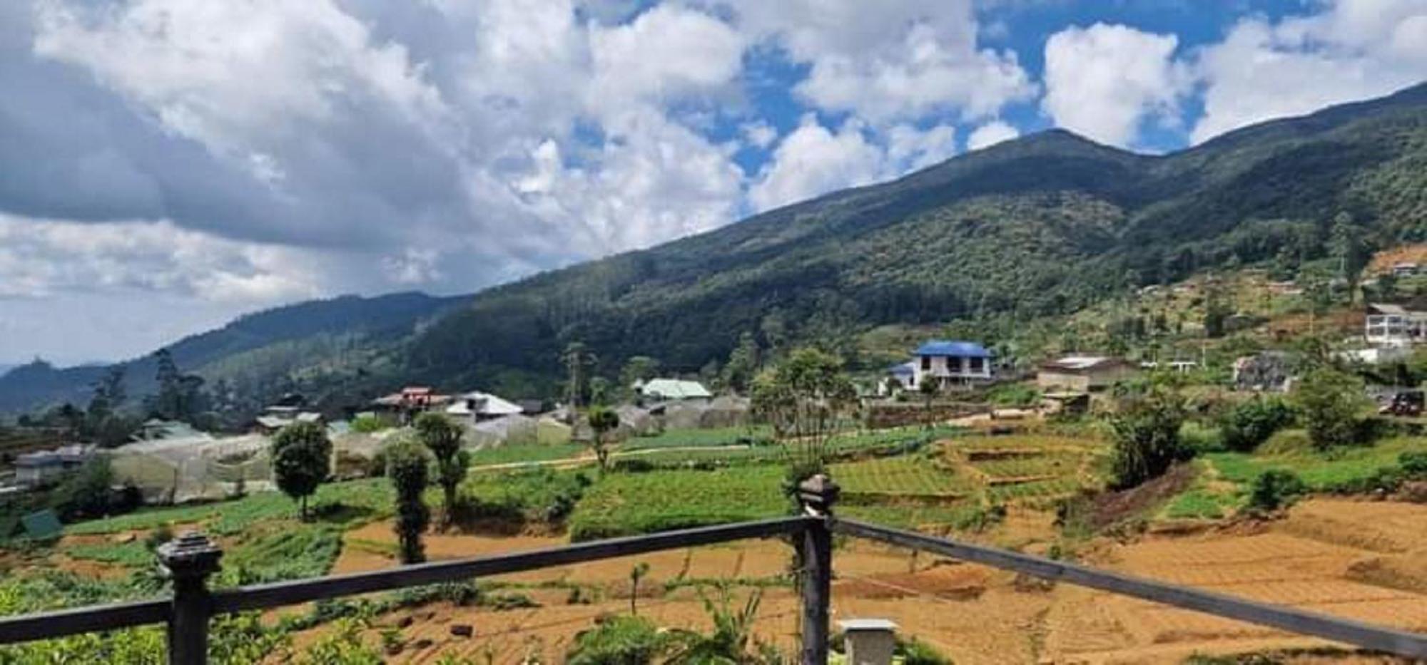 Venus Inn Nuwara Eliya Exterior photo